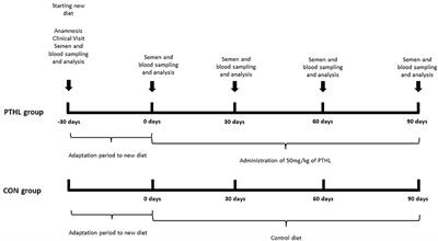 Effect of Pinus taeda Hydrolyzed Lignin on Biochemical Profile, Oxidative Status, and Semen Quality of Healthy Dogs